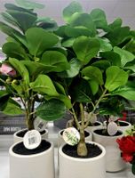 1 STK NEU! Künstlicher Ficus Lyrata 69cm  Deko Zimmerpflanze