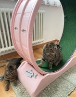 Laufrad für Katzen Pink guter Zustand