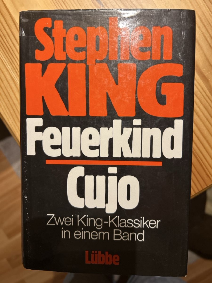 Libri: Stephen King: Feuerkind / Cujo – Usato da Brunnen venduto da Liluzick