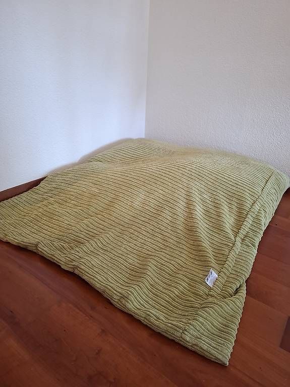 Cuscini: XXL Indoor Sitzsack, hellgrün – Usato da Biel/Bienne venduto da Kyruna 1