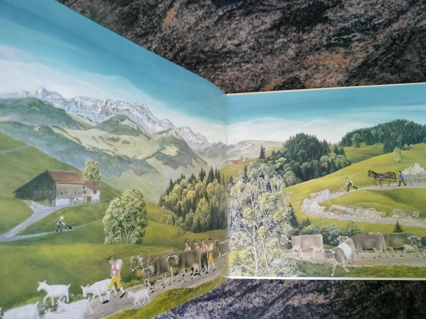 Libri: Blassy et Flicka Lilly Langenegger Appenzeller Verlag – Nuovo (secondo la descrizione) da Cortaillod venduto da rozinna 9