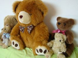 6 Teddybären, von 15 bis 45 cm