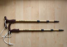 Leki Stöcke Gold Nordic Walking 64-110cm Antishock Wandern