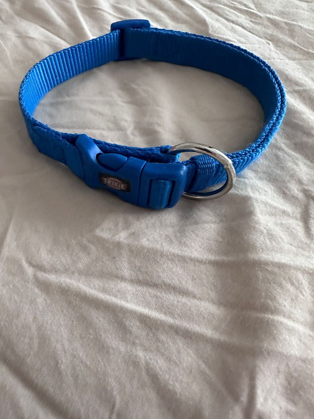 Guinzagli & Collari: Hundehalsband Blau – Usato da Lenzburg venduto da Focus_92 1