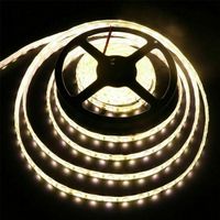 24V - LED-Streifen 5m kaltweiss SMD 5050 - 24V