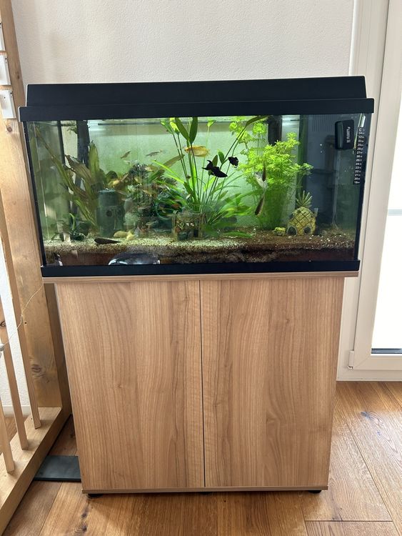 Komplettes Aquarium mit allem drum und dran (Gebraucht) in Hölstein für CHF 169 – nur Abholung ...