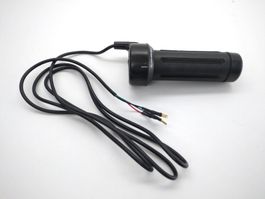 elektronischer Drehgriff