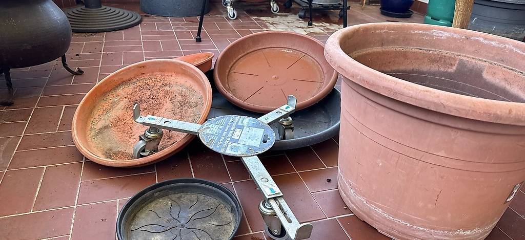 Sottobicchieri: pflanzentopf, untersetzer – Usato da Kriens venduto da aneja