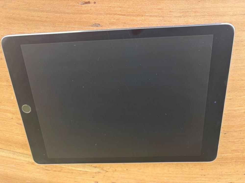 Apple Tablet PC: Apple iPad Pro 9.7 Zoll – Usato da Bern venduto da gent69 2
