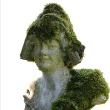 Profile image of JAPH