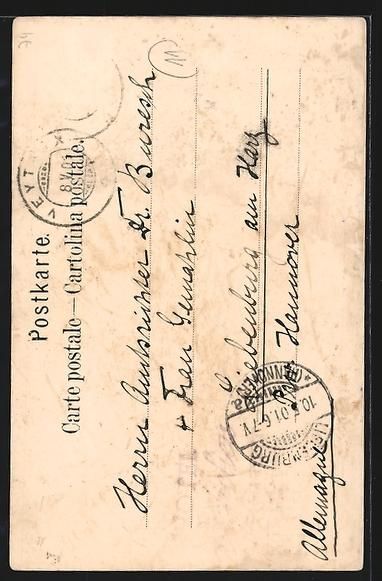Cartoline postali: Territet /Lac Léman, Panorama et la Den – Usato da Berlin venduto da bartko-reher 1