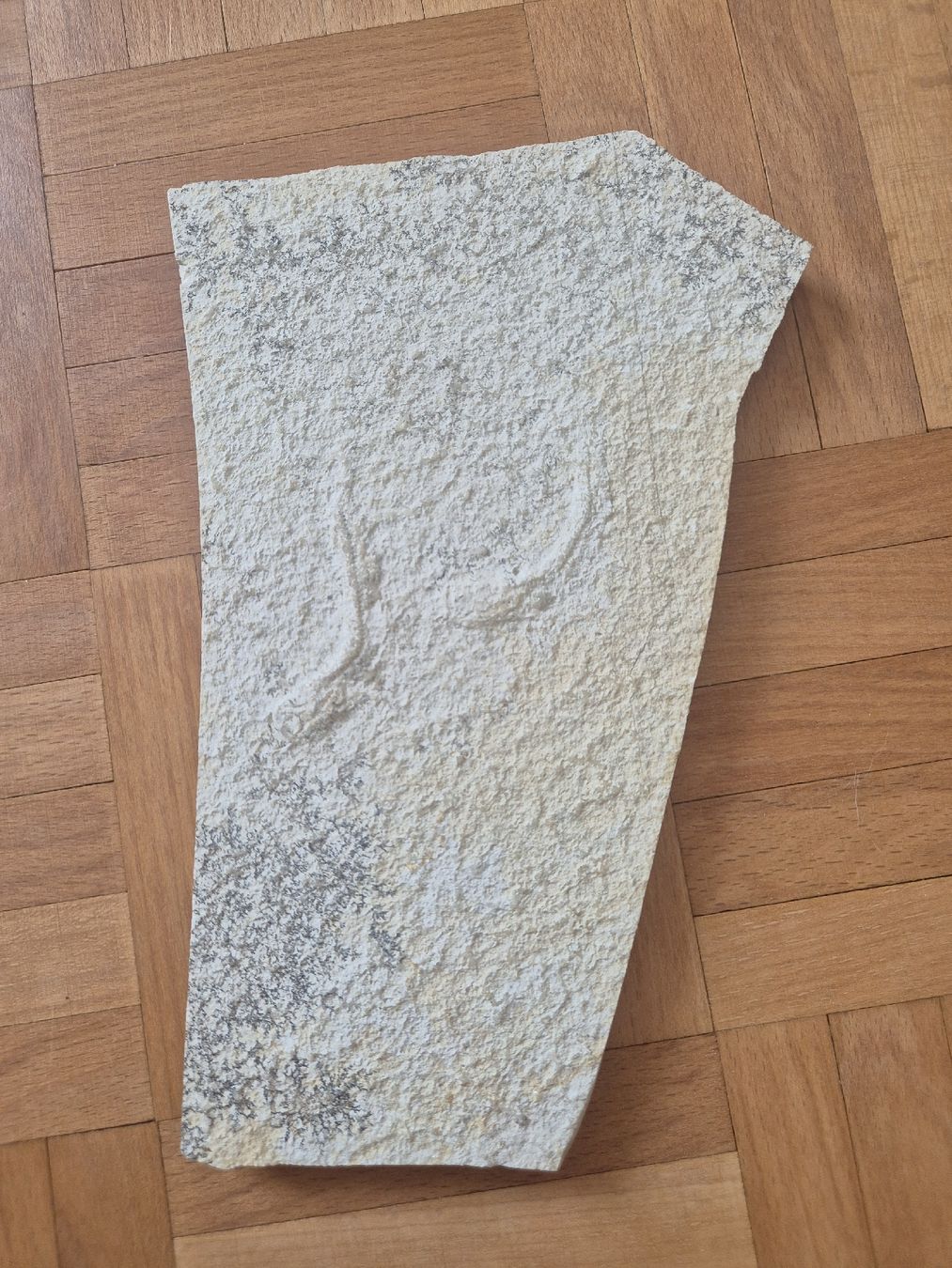 Fossiles: Fossil Fische  – D'occasion à Erlenbach ZH par Marielou222