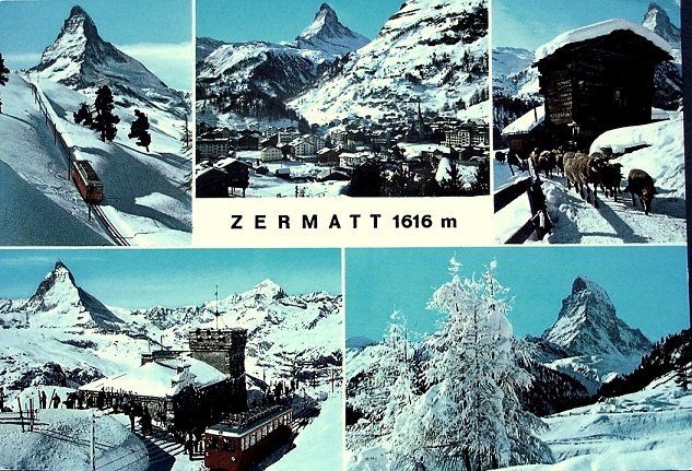 Cartes postales: ZERMATT Gornergratbahn, Kühe – D'occasion à Jona par philajona