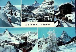 ZERMATT Gornergratbahn, Kühe