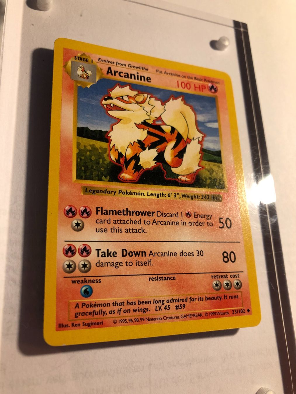 Sammelbilder & Trading cards: Arcanine (uncommon) Base Set Shadowless - MINT - ab 1.- – Gebraucht aus Giubiasco von dan_pr8b 1