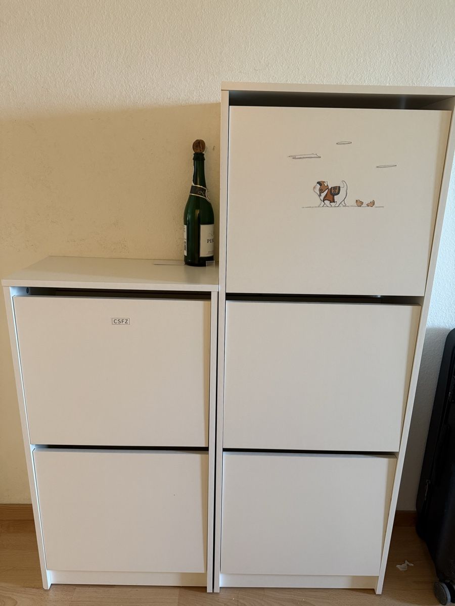 Regale: Wall-Mounted Shoe Cabinet – Gebraucht aus Zürich von mag_pj2p