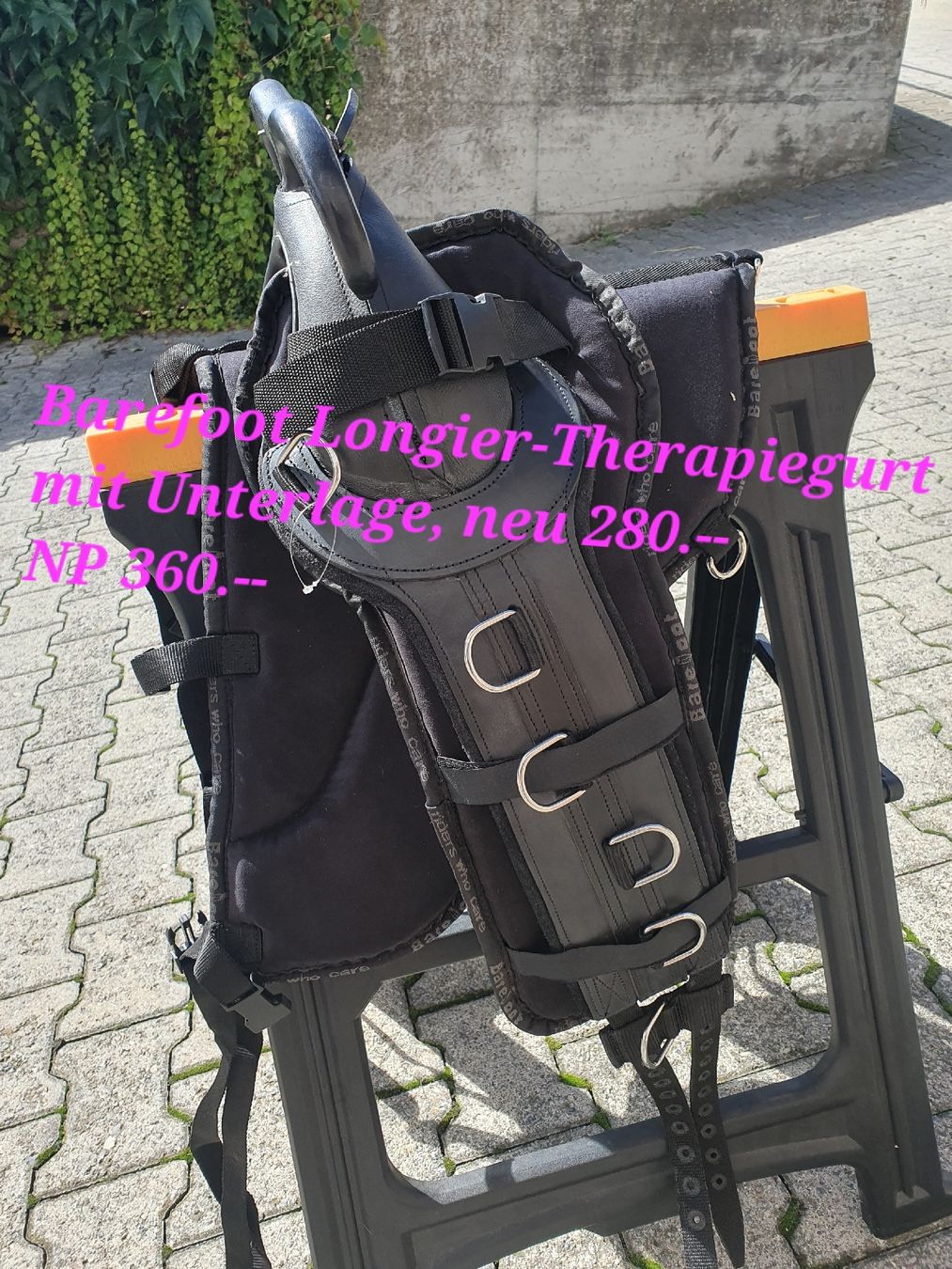 Selle & Accessori: Longier-Therapiegurt Barefoot, neuwertig – Nuovo (secondo la descrizione) da Steffisburg venduto da Bluerodeo