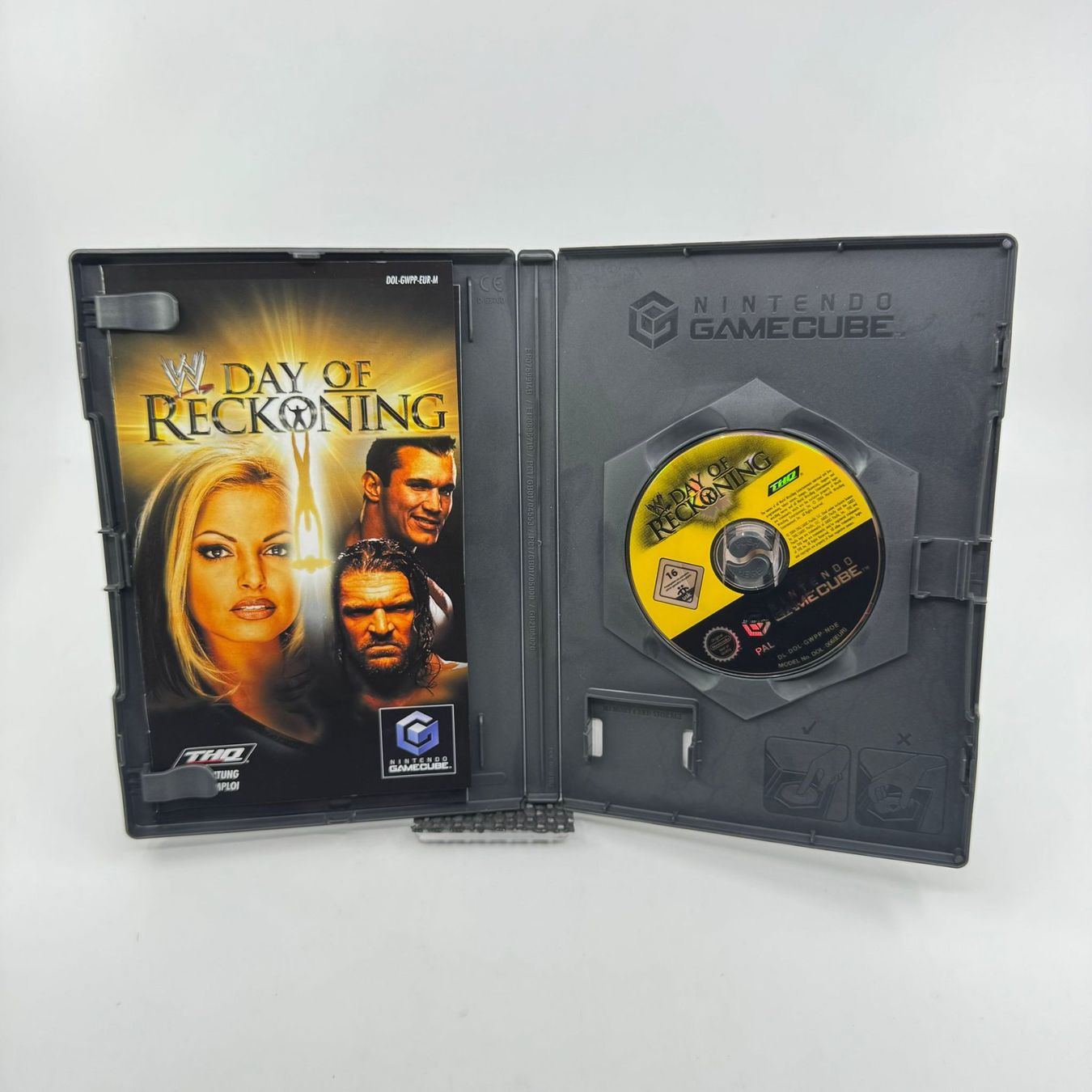 Giochi: Day of Reckoning (Gamecube) – Usato da Herisau venduto da Seyashop1 1