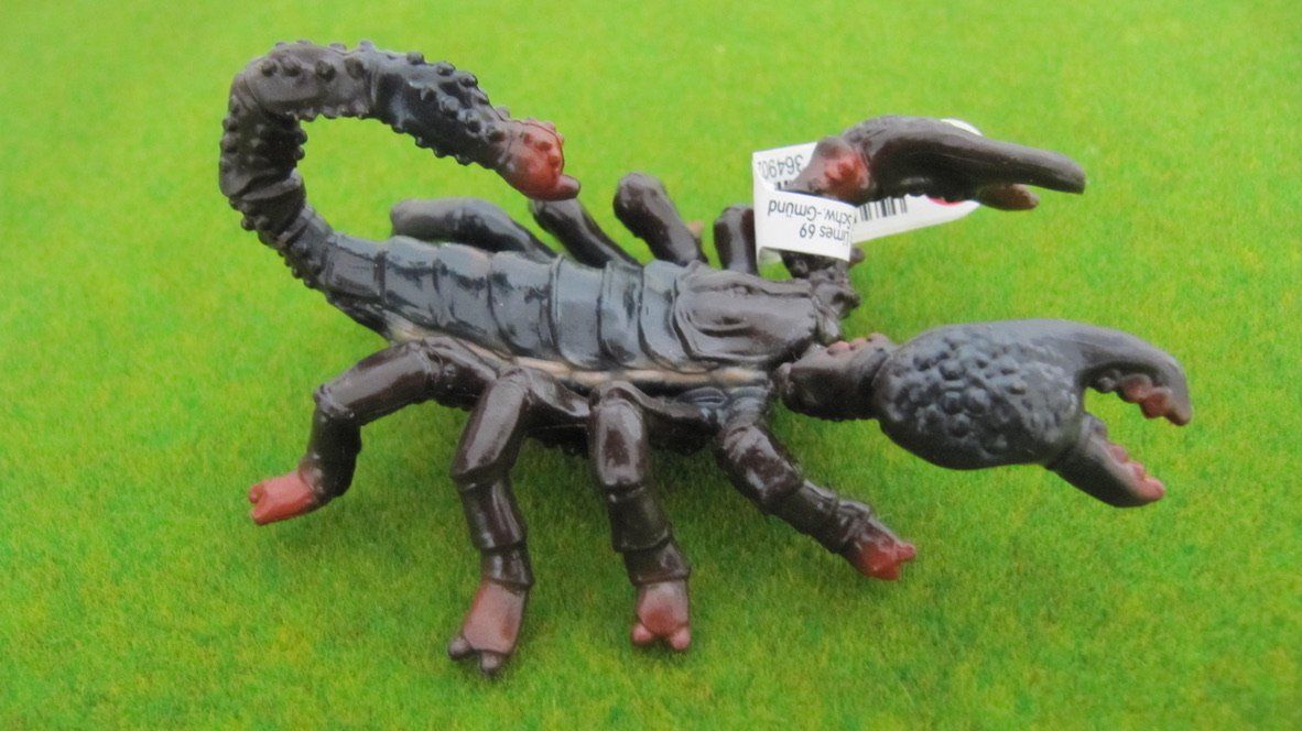 Schleich Giocattoli: Schleich Dromedar & Skorpion – Nuovo (secondo la descrizione) da Brunnen venduto da Kiwiland1 3