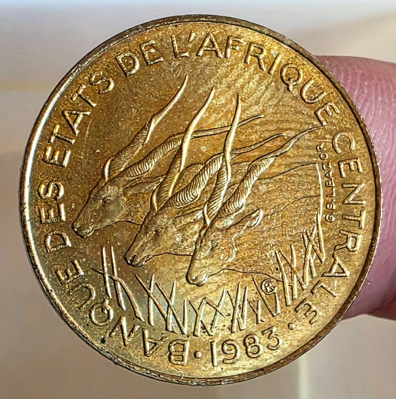 Tutti le monete: CENTRAL AFRICA 10 FRANCS 1983 – Nuovo (secondo la descrizione) da Winterthur venduto da Creso70