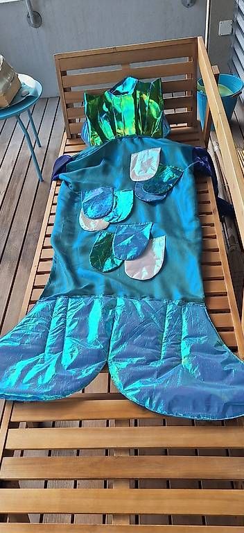 Costumi: Fasnachtskostüm Regenbogen-Fisch – Usato da Tägerig venduto da SandraLios 4