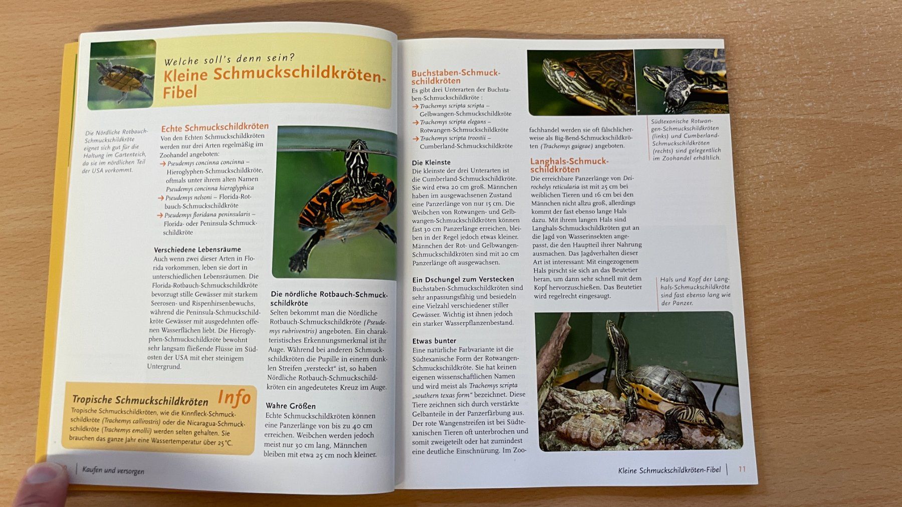 Libri: Schmuckschildkröten – Usato da Glattfelden venduto da flomiking 6