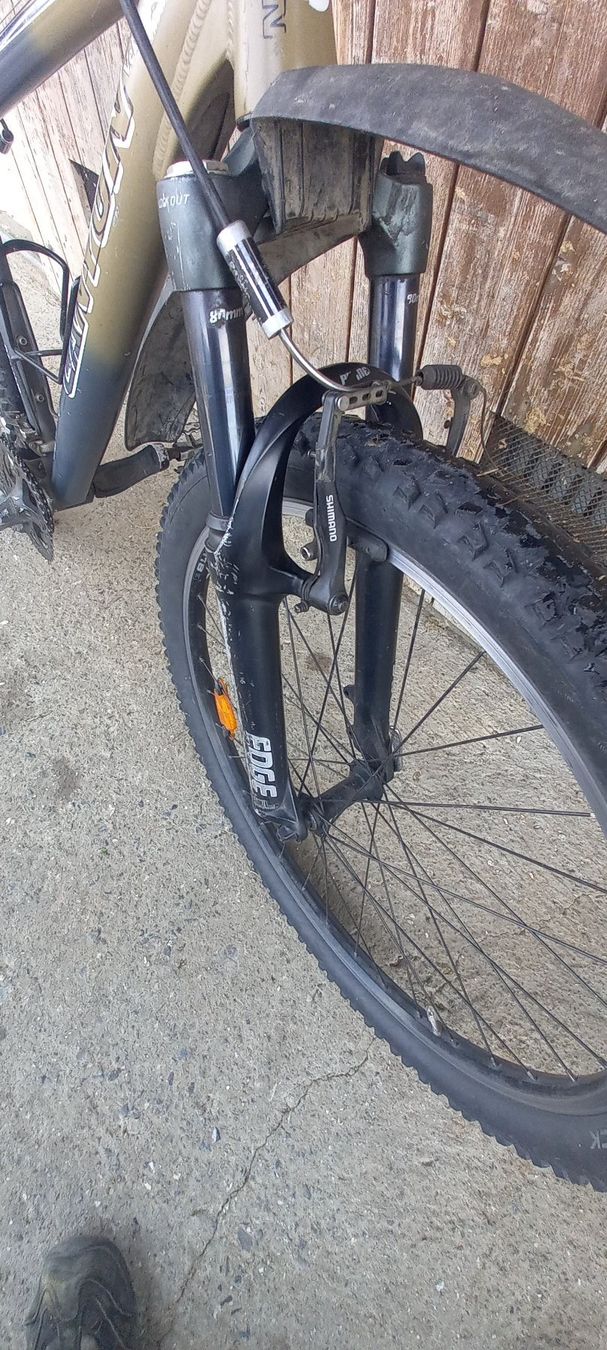 Canyon Biciclette: Canyon Mountainbike – Usato da Sachseln venduto da Furner94 2
