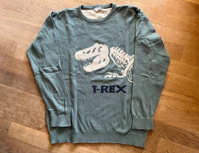 Maglioni & Felpe: 2 Pullis 'Hund und T-Rex' für Kinder – Usato da Steinmaur venduto da Dyleila 1