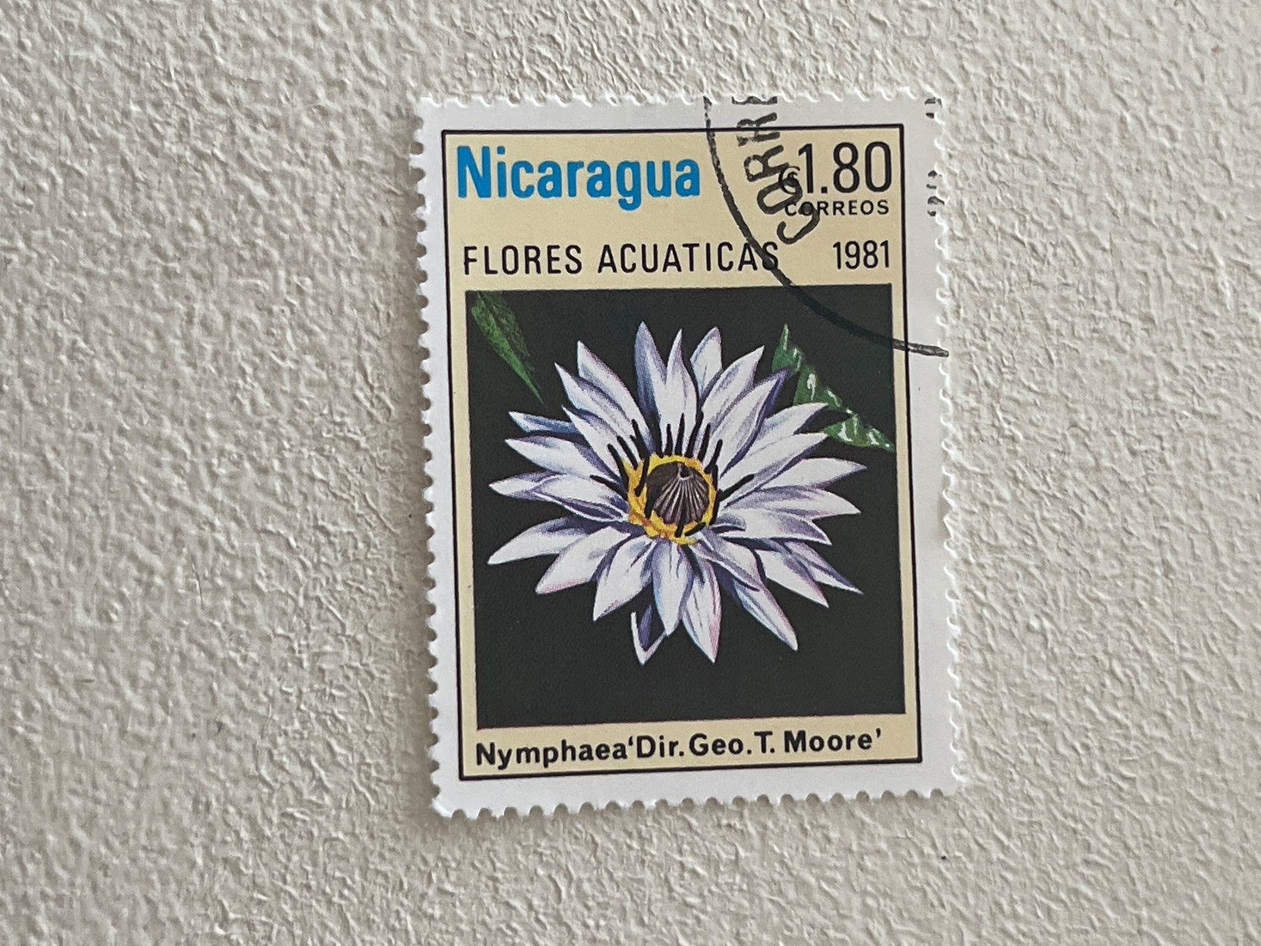 Tutti i francobolli: Nicaragua Briefmarke – Usato da Chiasso venduto da AzenYa