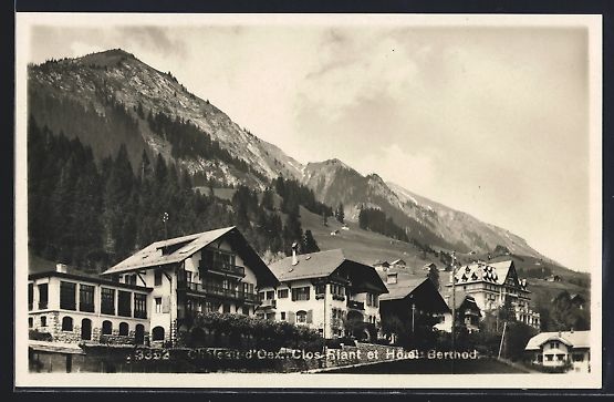 Cartoline postali: Château-d'Oex, Clos-Riant et Hotel Bert – Usato da Berlin venduto da bartko-reher