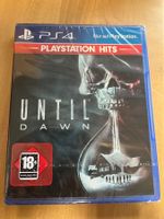 Until Dawn (NEU)