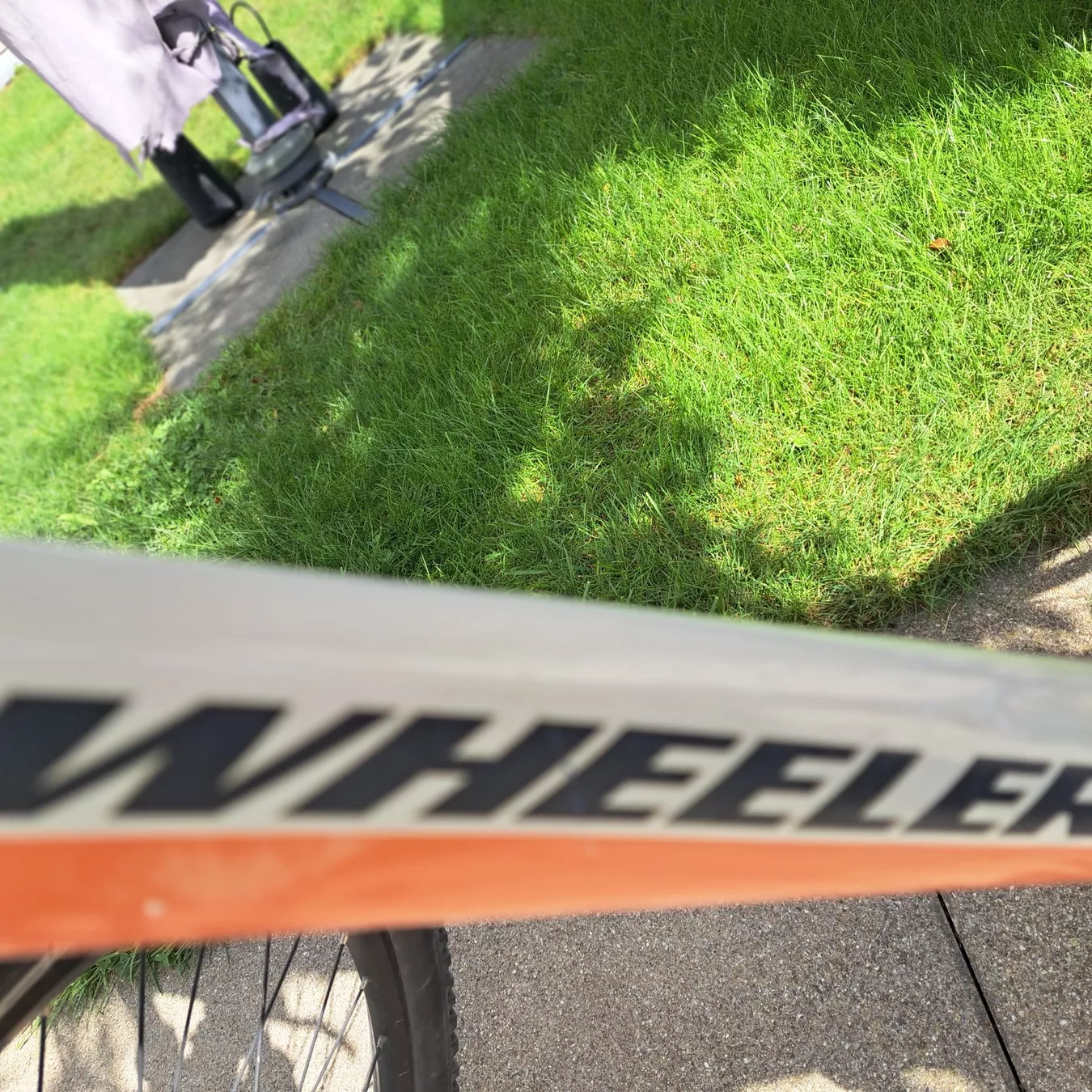 Wheeler Biciclette: Velo – Usato da Unterentfelden venduto da Miro-Lou 1