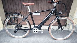 Ego Movement Ebike - defekt, für Bastler