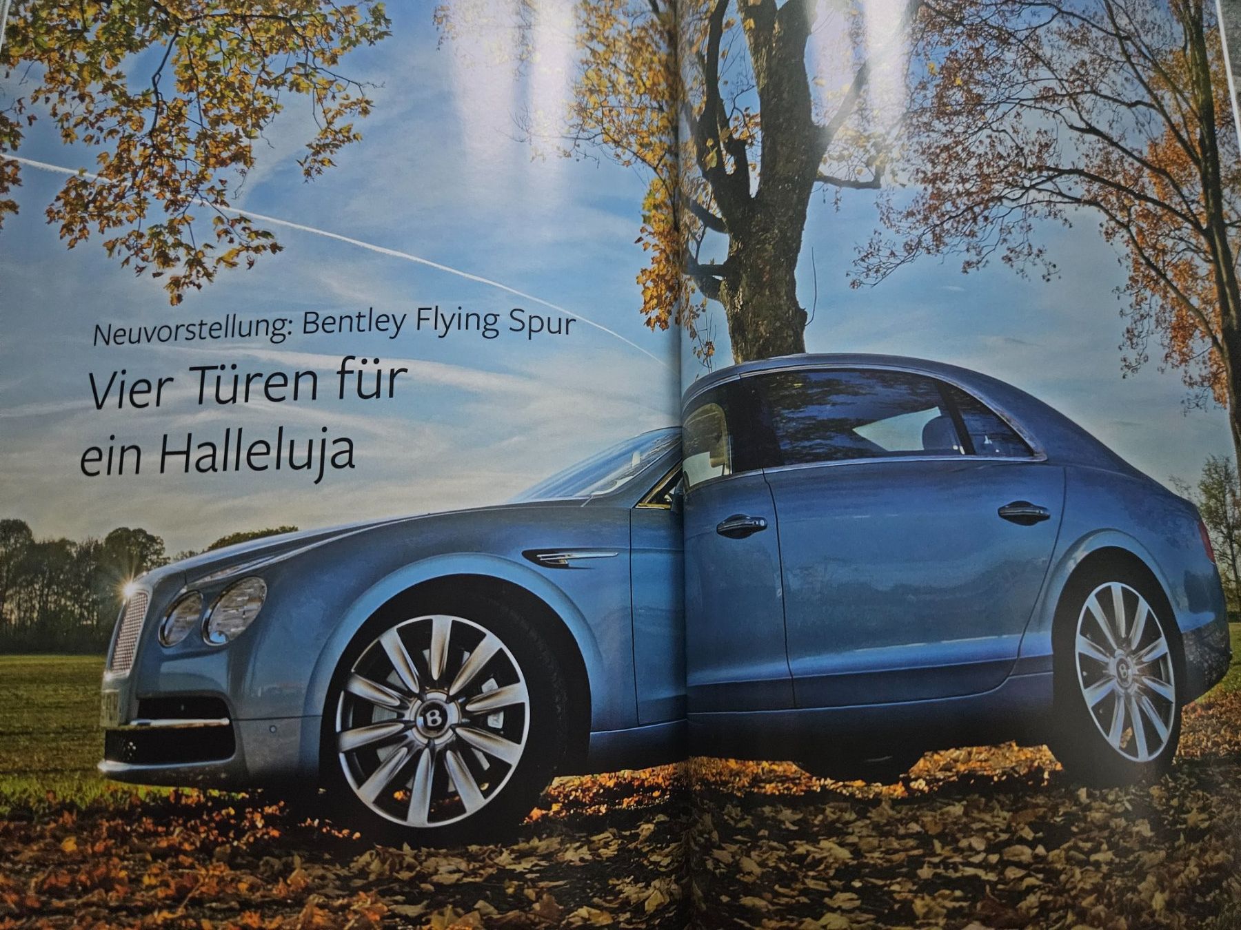 Rolls Royce Accessori per altri veicoli: Alpine Eagle 1/14 Ghost Bentley Flying Spur Langenthal xx – Usato da Flawil venduto da sr1_f6st 4