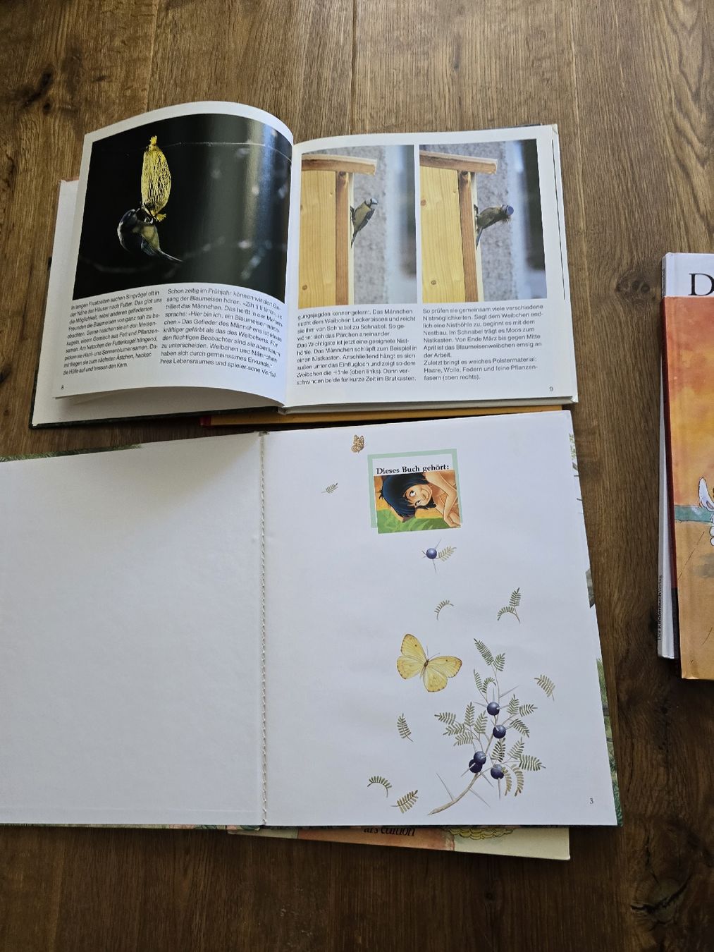 Libri: bücher für kinder – Usato da Wittenbach venduto da Tigerlili 5