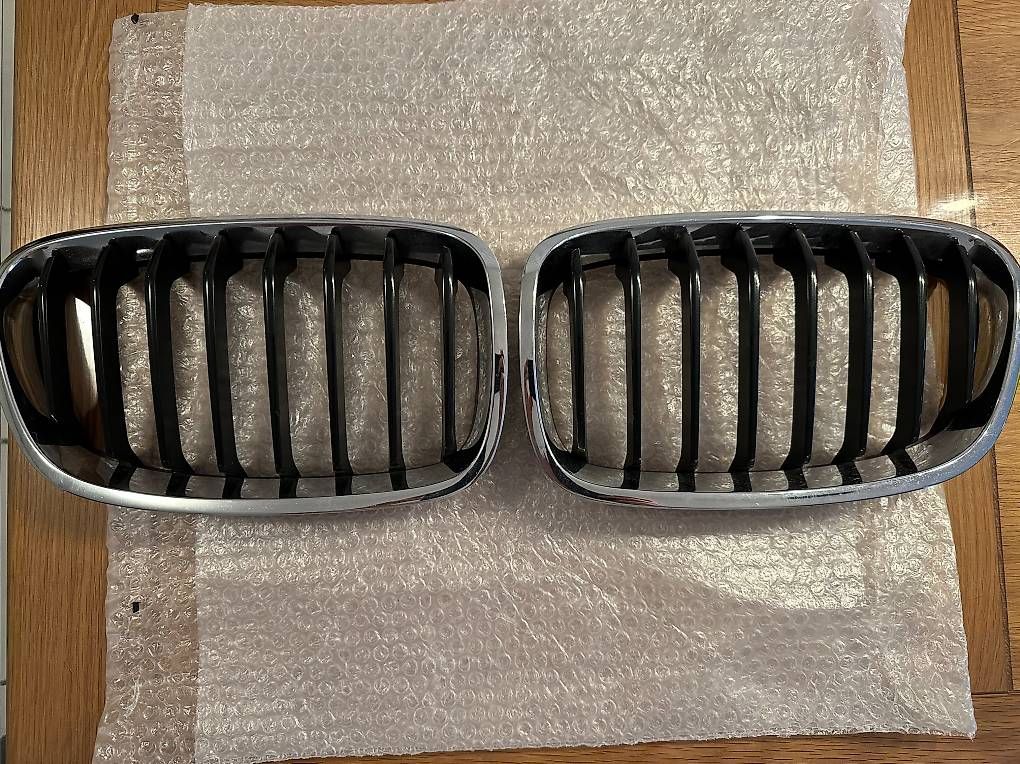 Tutti pezzi di ricambio auto: BMW Nieren Original F20 – Usato da Solothurn venduto da azi_dw2g