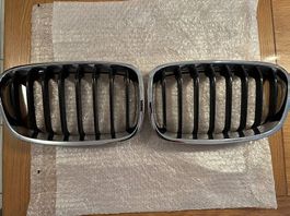 BMW Nieren Original F20
