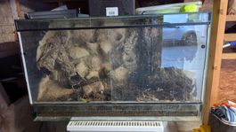 Glasterrarium 100x50x60