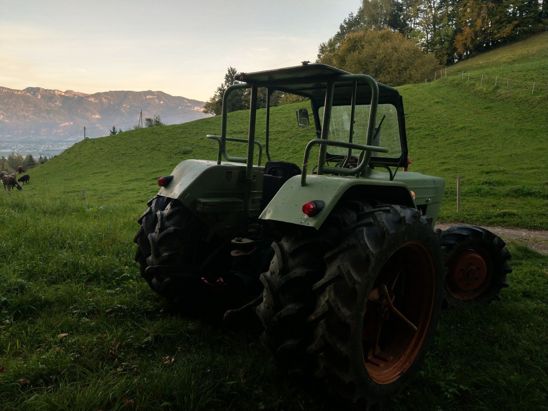 Ford Trattori: Ford 3000 Allrad – Usato da Berneck venduto da stev_2010 2