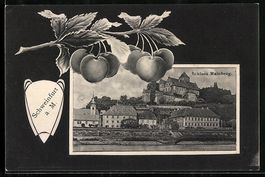 Grusskarten-AK Schweinfurt a. M., Schlos