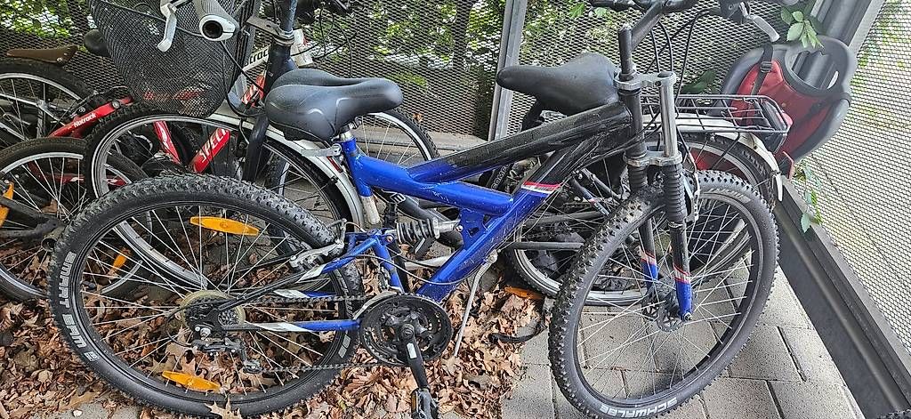 Biciclette: Velo 26 Zoll – Usato da Schlieren venduto da Style_Style