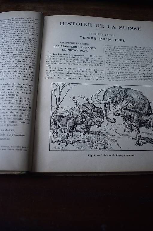 Bücher: Schweizer Geschichte  1926 – Gebraucht aus Brügg BE von Aristotolius 1