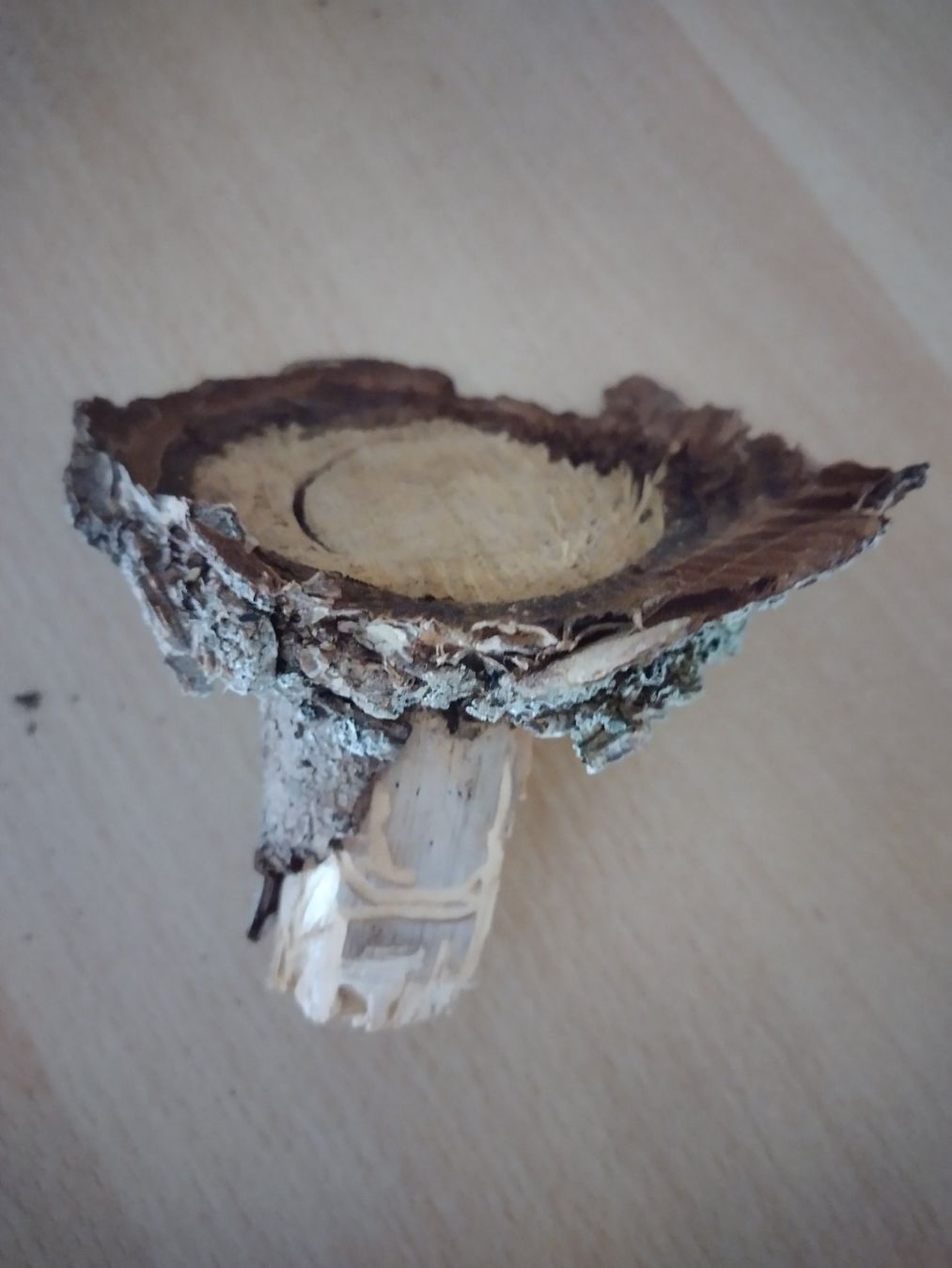 Tutte le decorazioni: Echtholz Deko unbehandelt - 5 Stück – Nuovo (secondo la descrizione) da Jona venduto da Argus36 2