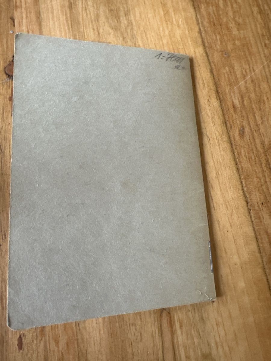 Libri: Büchlein Schweizer Wehr Schweizerischer Soldatengeist  – Usato da Frauenfeld venduto da aluma14 4