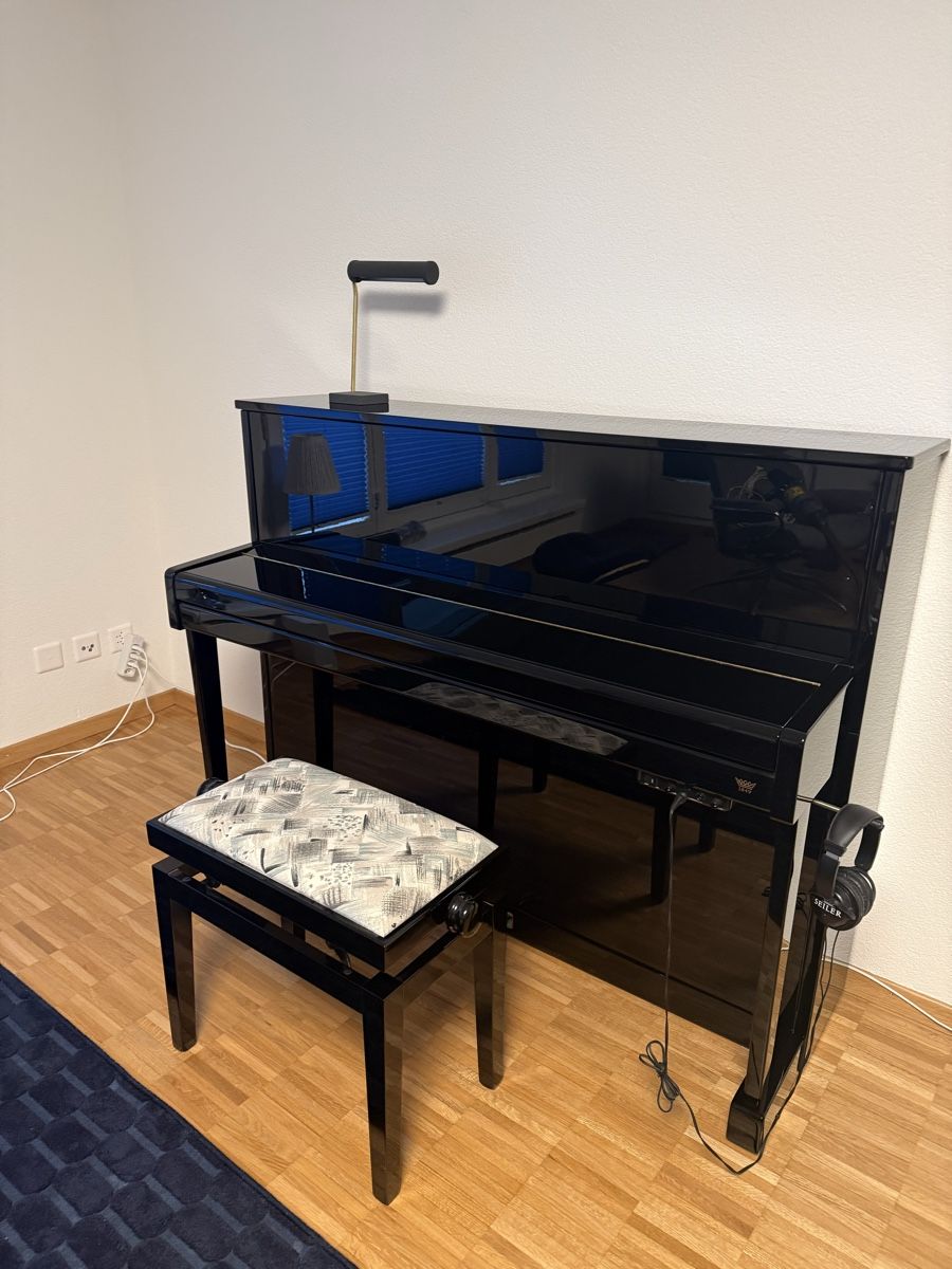 Strumenti musicali: Schwarzes Klavier der Marke Seiler – Usato da Schwyz venduto da hubert0206 1