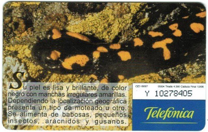 Telefon- & Taxkarten: Privat Telefonkarte Spanien Salamander – Gebraucht aus Zürich von Tolima194 1