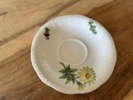 Herend Hungary Porzellan  Untertasse Margerite 🌼