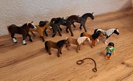 Playmobil Pferde