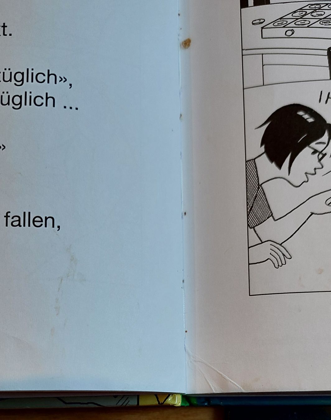 Libri: Globi bei den Kelten – Usato da Kyburg-Buchegg venduto da Rolf1velo 4