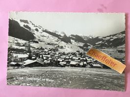 1945 5028 Zweisimmen im Winter